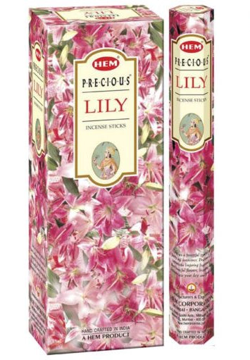 Hem Incense Sticks – Pack of 6